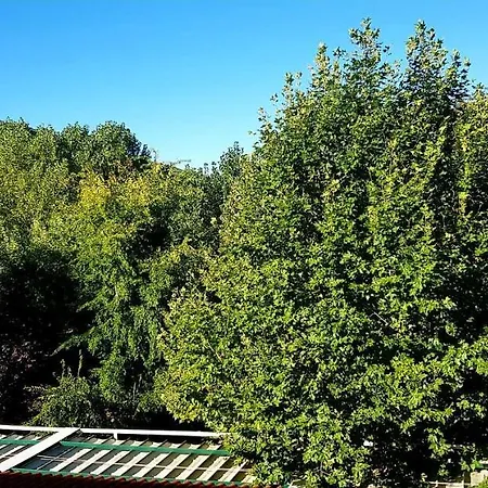 Arenales De Hotell 2*